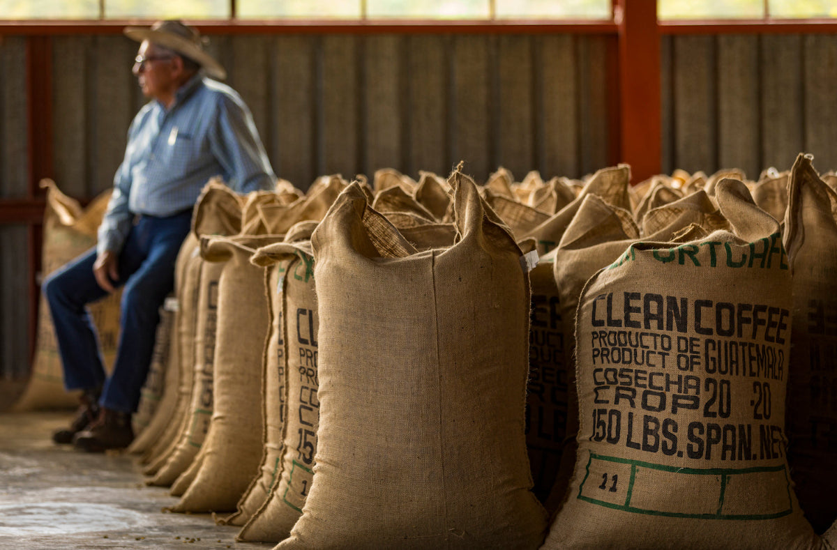 Bags of parchment coffee resting prior to export