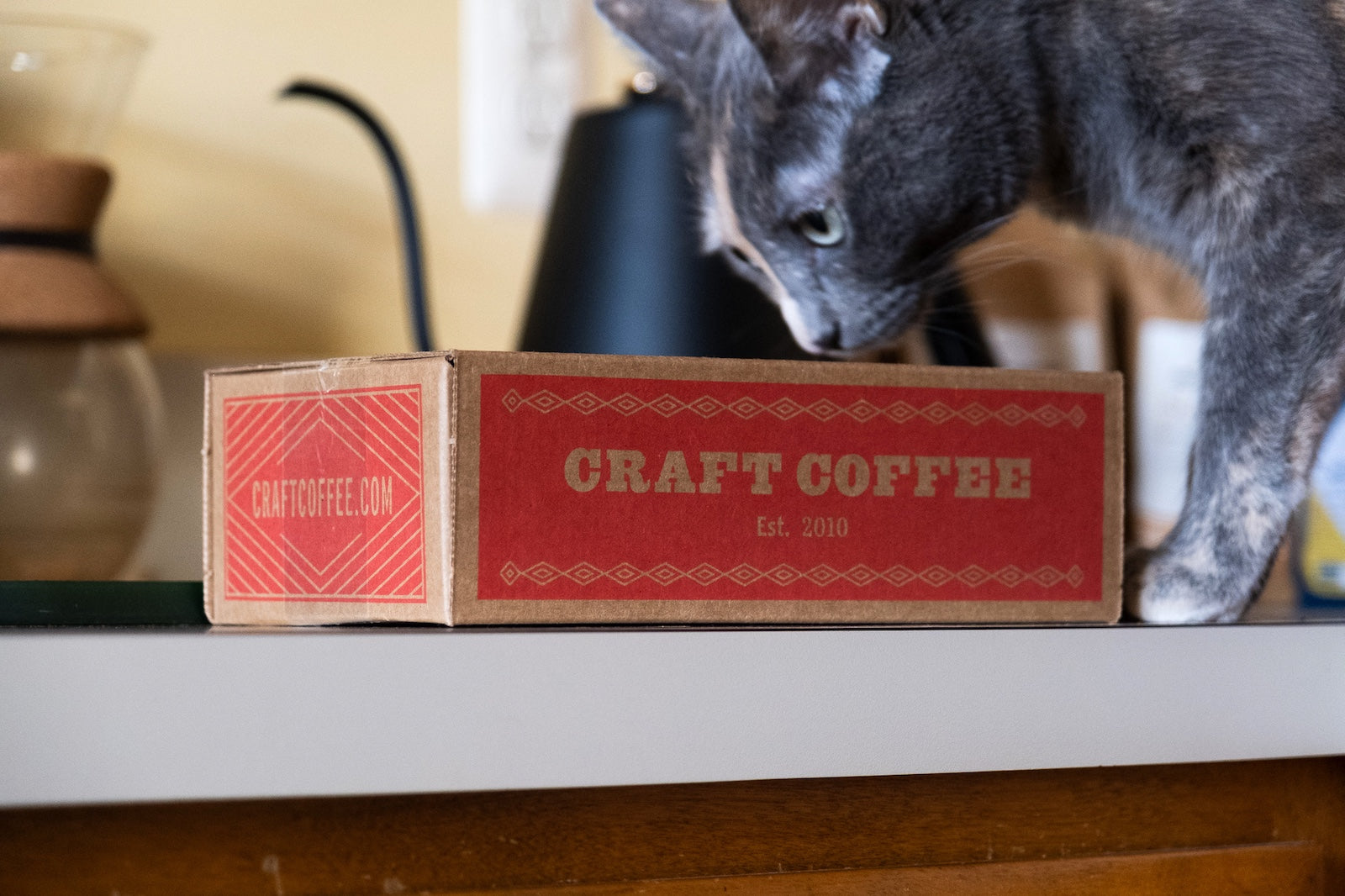 Cat sniffing a red Craft Coffee box