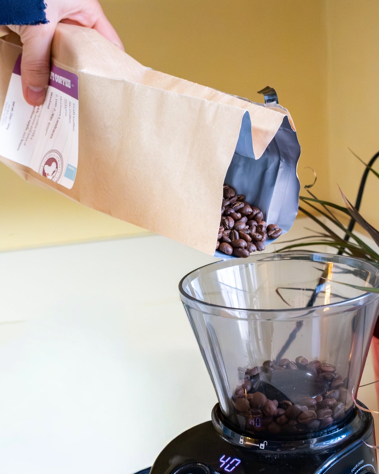 Pouring Craft Coffee beans into a grinder