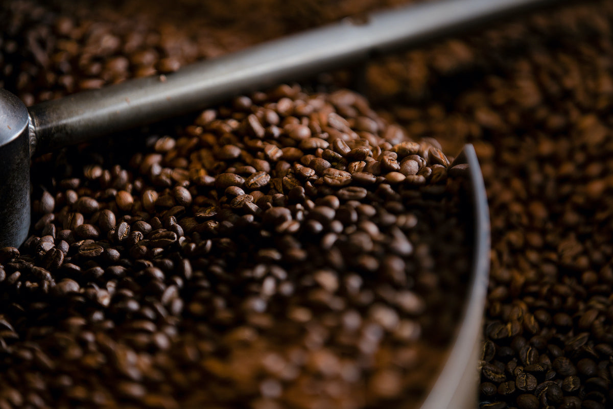 Close-up of coffee beans in a cooling tray