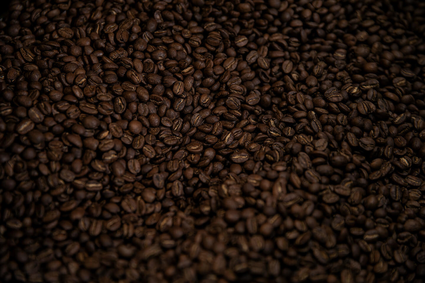 Roasted coffee beans